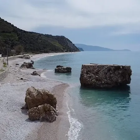 - Bba Lejlighed Borsh